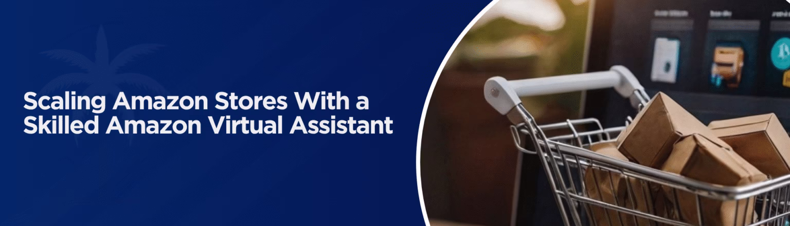 Scaling Amazon Stores With a Skilled Amazon Virtual Assistant
