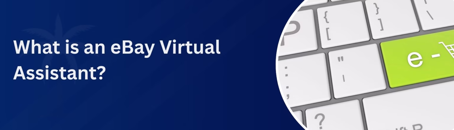What is an eBay Virtual Assistant